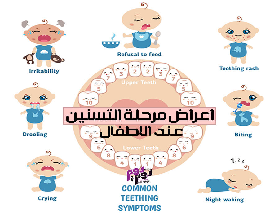 تخفيف الم ظهور الاسنان عند الاطفال بالاعشاب