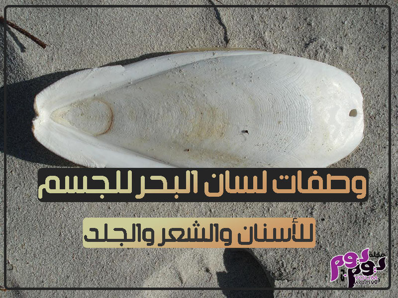 فوائد لسان البحر للبشرة