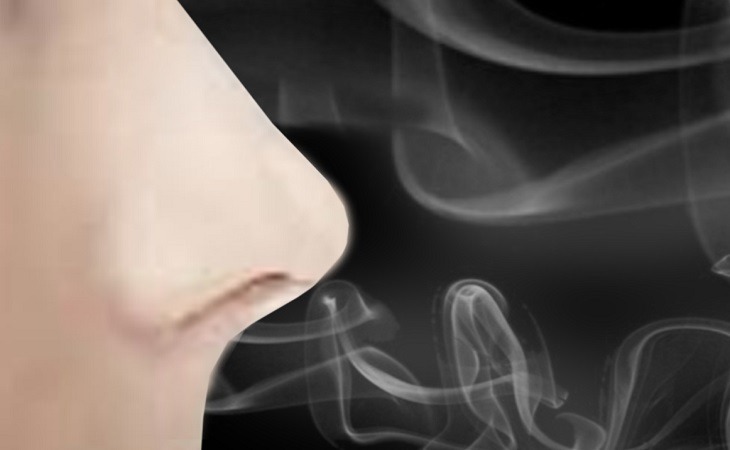 علاقة الاحلام بحاسة الشم