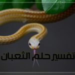 تفسير حلم الثعبان بالتفصيل