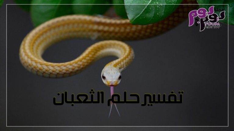 تفسير حلم الثعبان بالتفصيل
