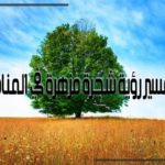 رؤية شجرة مزهرة في المنام