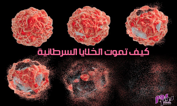 كيف تموت الخلايا السرطانية