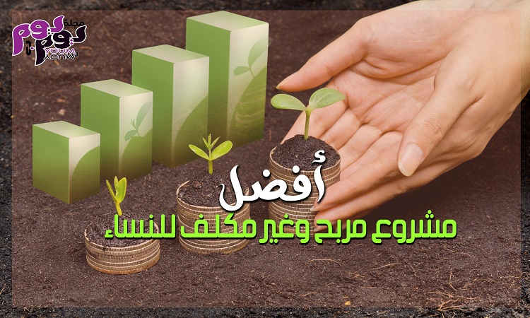 مشروع مربح وغير مكلف للنساء