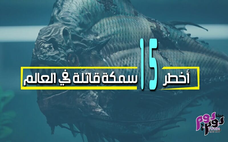 أخطر 15 سمكة قاتلة في العالم منها ما يتسلل من فتحة الشرج والآخر يصعق بالكهرباء مجلة يوم بيوم