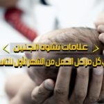 علامات تشوه الجنين