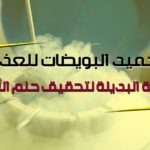 تجميد البويضات للعذراء
