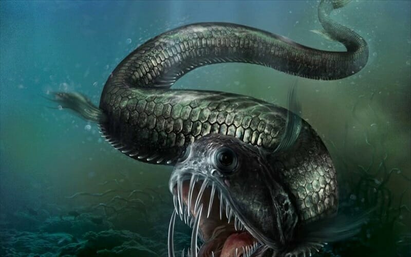 سمكة الأفعى الخبيثة