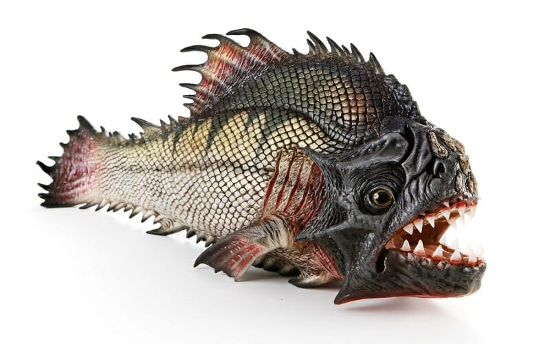 أخطر 15 سمكة قاتلة في العالم