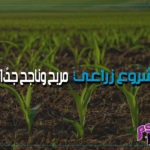 مشروع زراعي مربح