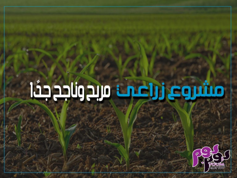 مشروع زراعي مربح