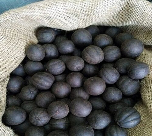 اضرار الليمون الأسود