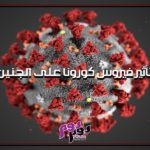 تأثير فيروس كورونا على الجنين