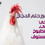 تفسير حلم الدجاج