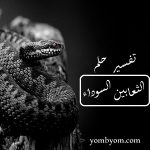 تفسير حلم الثعابين السوداء