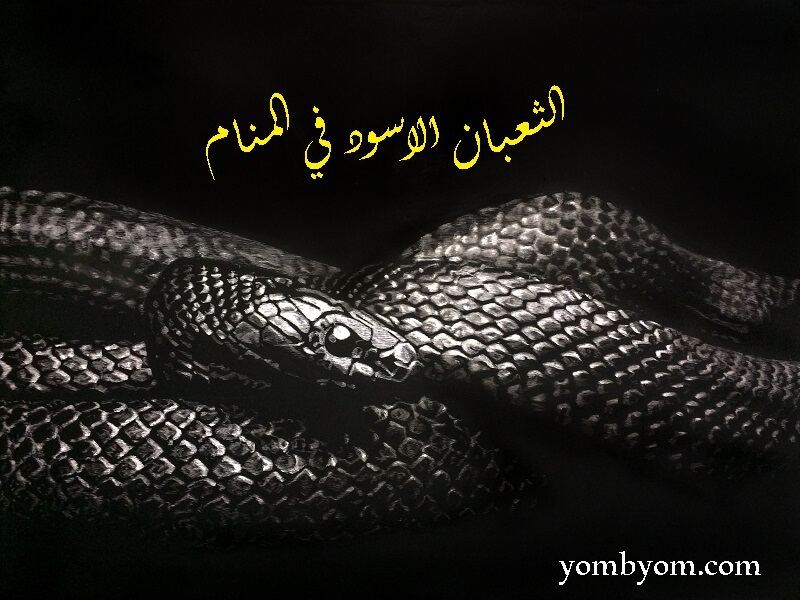 تفسير حلم الثعابين السوداء